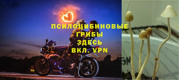 спиды Пересвет