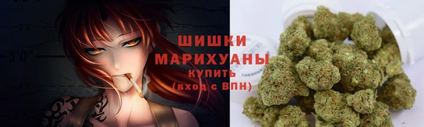 дживик Переславль-Залесский