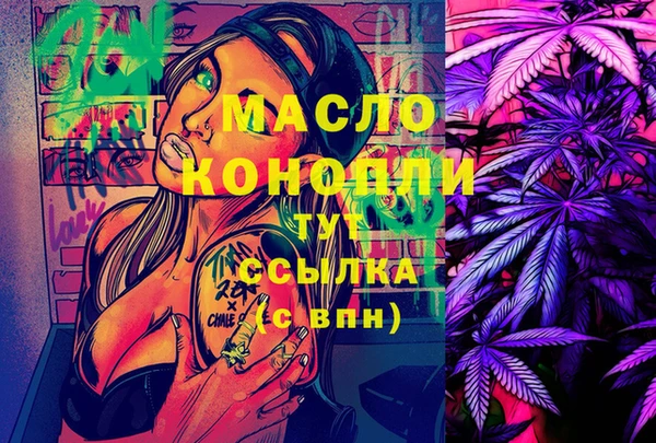 дживик Переславль-Залесский