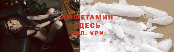 спиды Пересвет