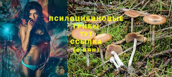 дживик Переславль-Залесский