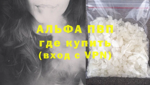 спиды Пересвет