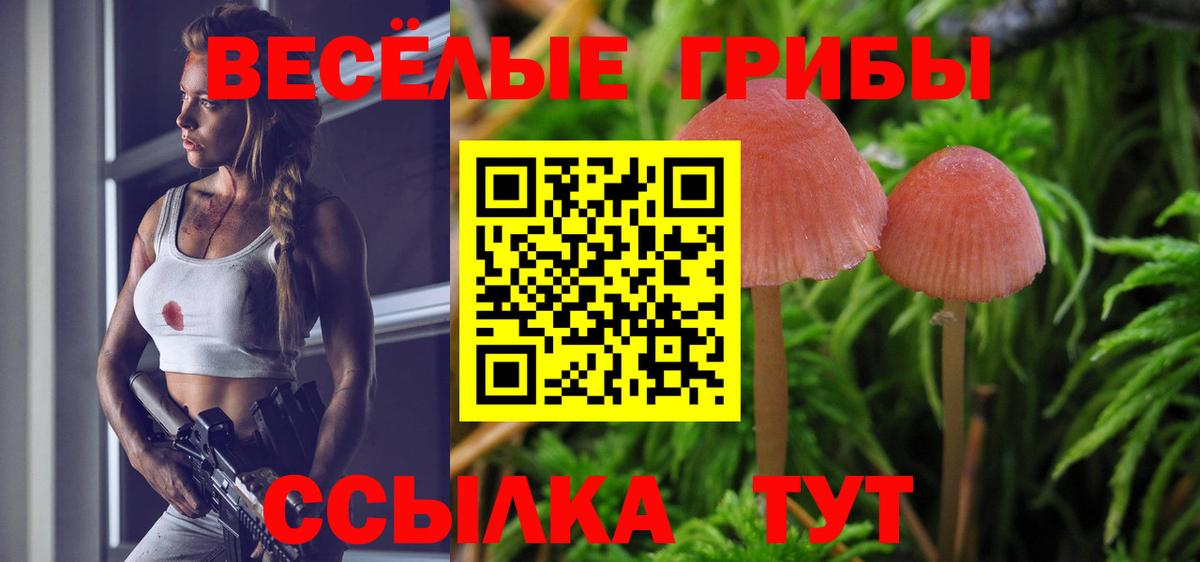Славянск-на-Кубани  Галлюциногенные грибы мухоморы  Вход с VPN 